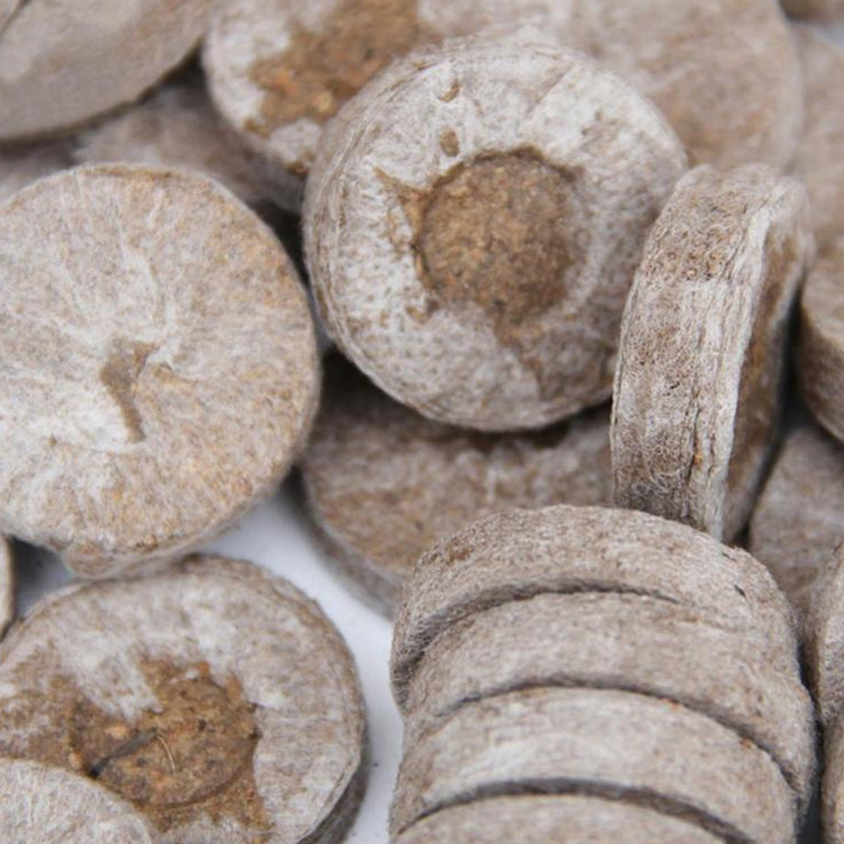 Compressed Peat Seed Starting Pellets - 100 Pack (30mm Expandable)