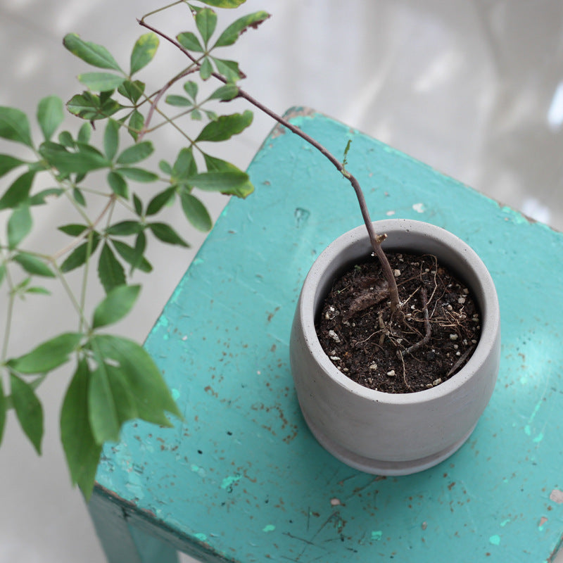 Cement Plant Pot with Saucer Natural Gray Minimalist Planter 11cm