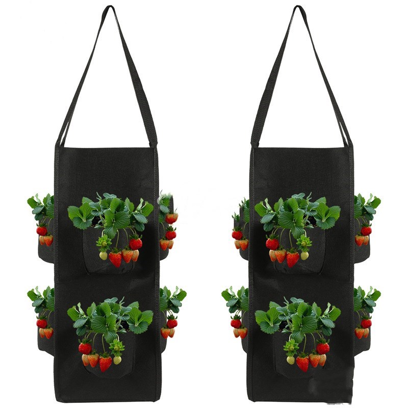 Two black hanging garden bags with plants and fruits on a white background