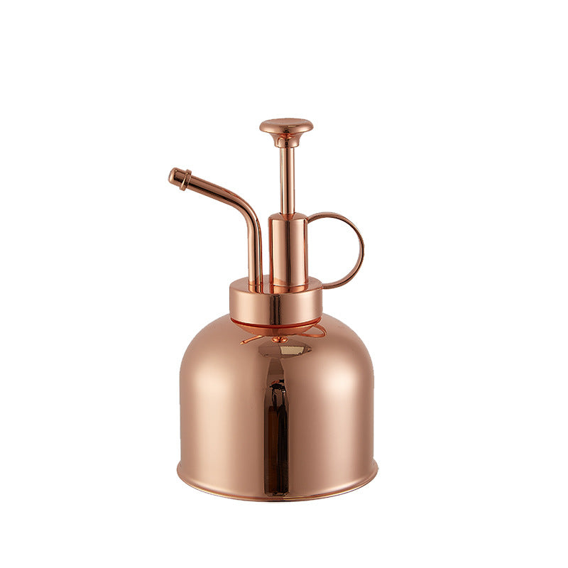 Stainless Steel Plant Mister, 300 ml Hand-Pump Spray Bottle