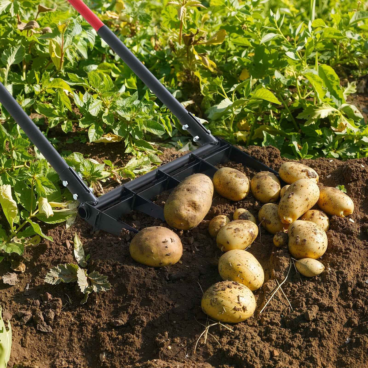 5-Tine Broadfork Garden Tool, Heavy-Duty Soil Cultivator