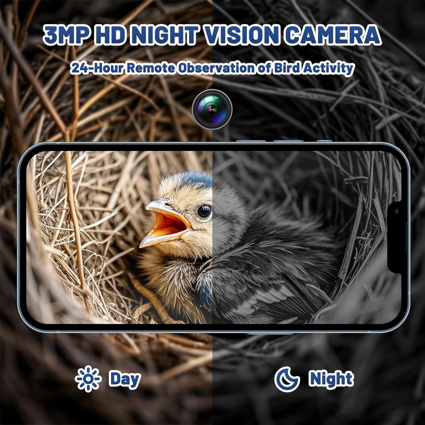 Smart Birdhouse with Camera & AI Species Identification for Small Birds