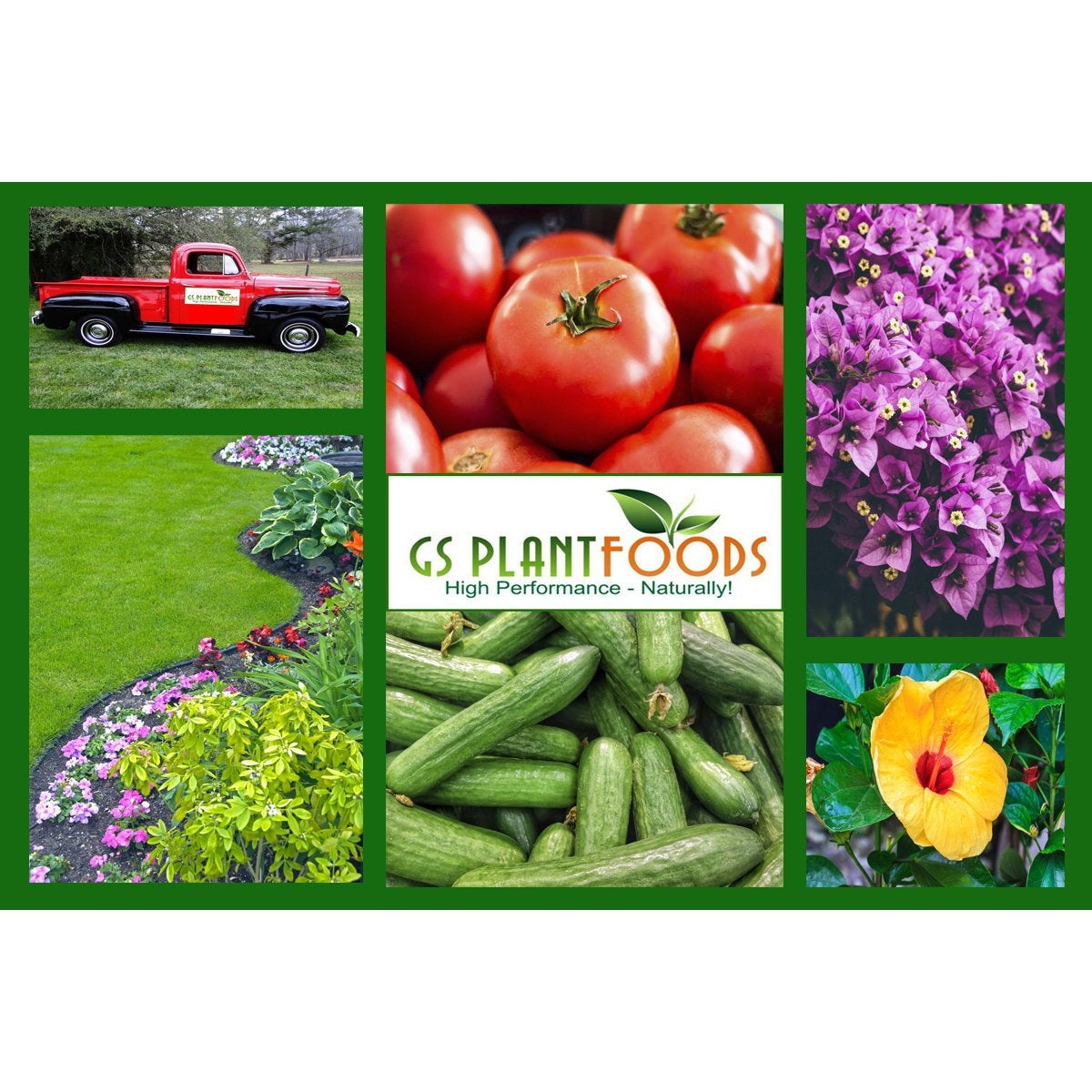 Soft Soil Liquid Aerator & Lawn Treatment by GS Plant Foods