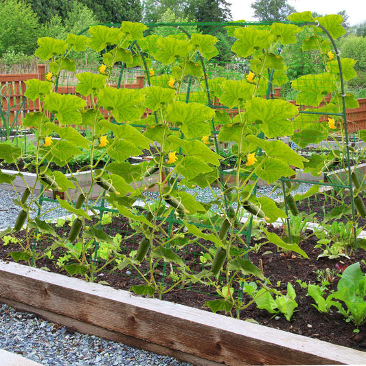 U-Shaped Garden Arch Trellis with Climbing Net β 49.6x47.2 in Tunnel Frame