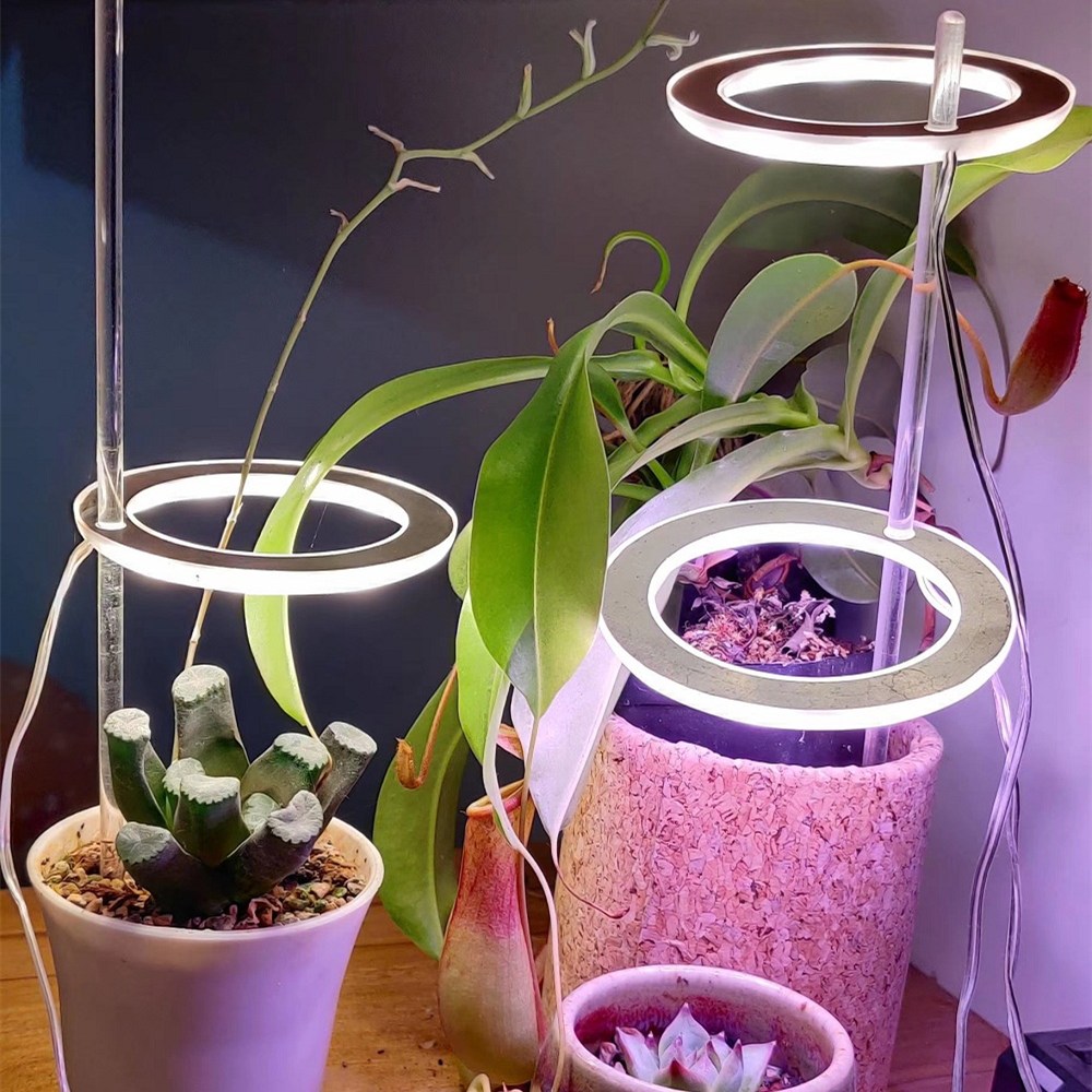 USB LED Grow Light for Indoor Plants, 1 to 3 Heads