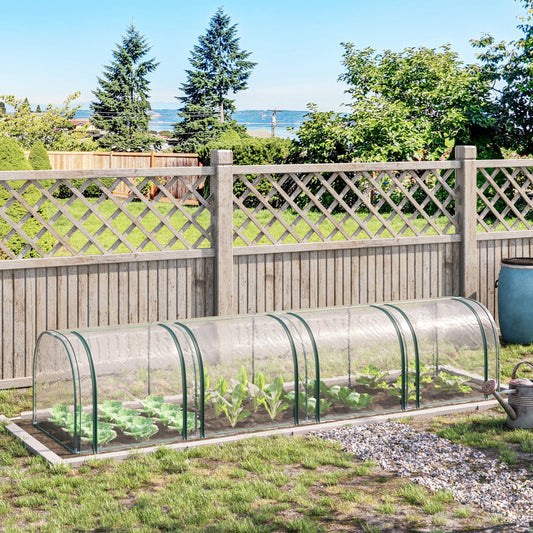 Glass greenhouse in a garden with a wooden fence and trees in the background