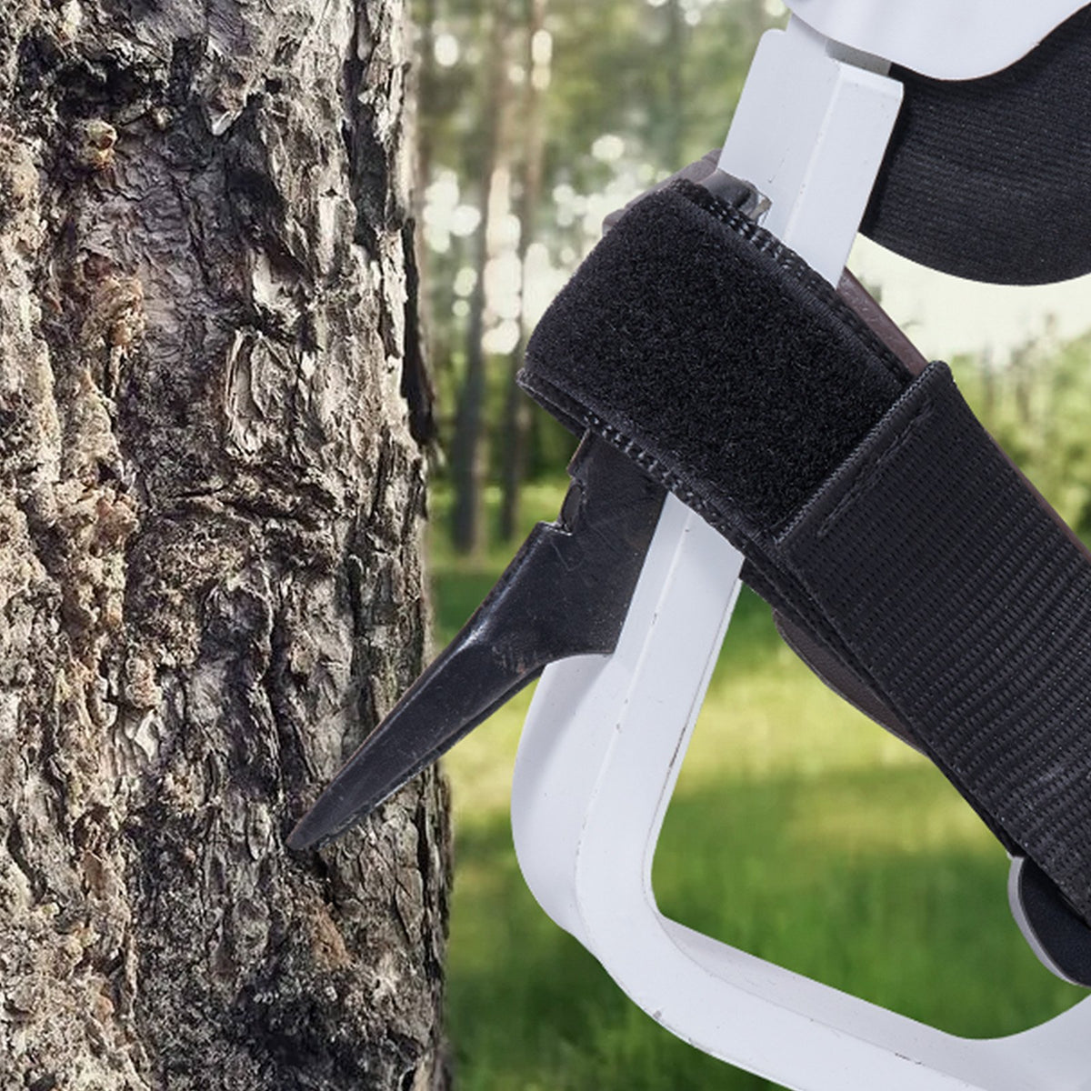 White archery bow stand with black strap attached to a tree