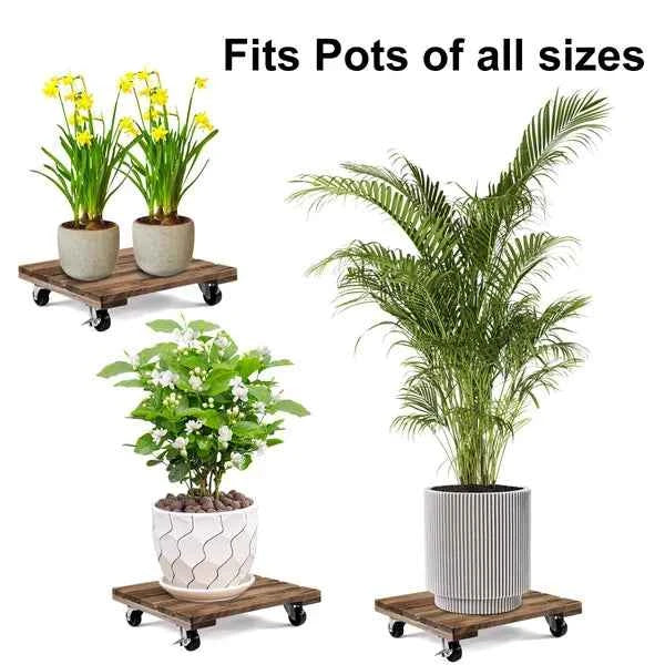 12-Inch Square Wooden Plant Caddy with Easy-Move Casters