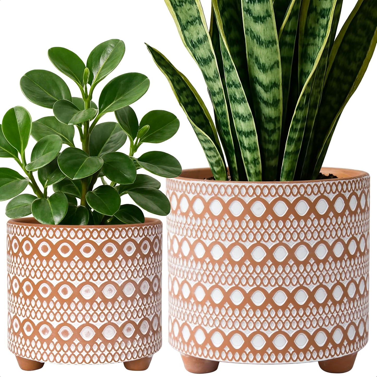 Set of 2 Terracotta Planter Pots, 4 Inch & 6 Inch, Design Plants Pot with Drainage Hole, Desert Mirage, Terracotta/White, 31-953-B-1