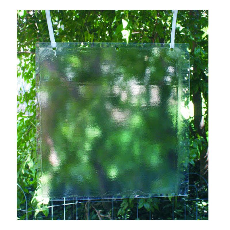 Transparent Sticky Insect Traps, 12 x 12 In, 5-Pack with Hangers