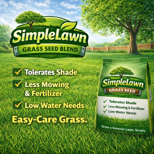 Simple Lawn Low Maintenance Grass Seed Blend β Drought Tolerant, Up to 4,000 Sq Ft