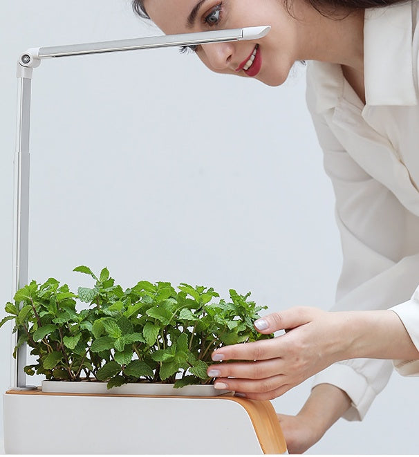 Indoor Hydroponic Garden System with LED Grow Light