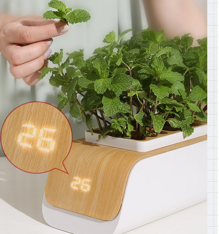 Indoor Hydroponic Garden System with LED Grow Light