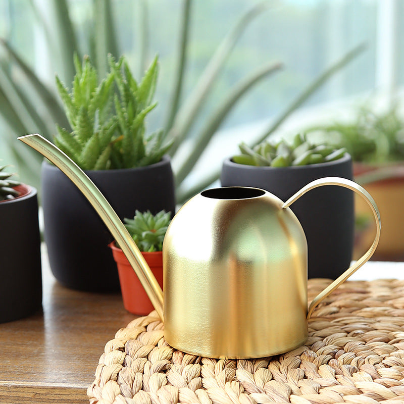 Stainless Steel Long-Spout Watering Can, 1.5L