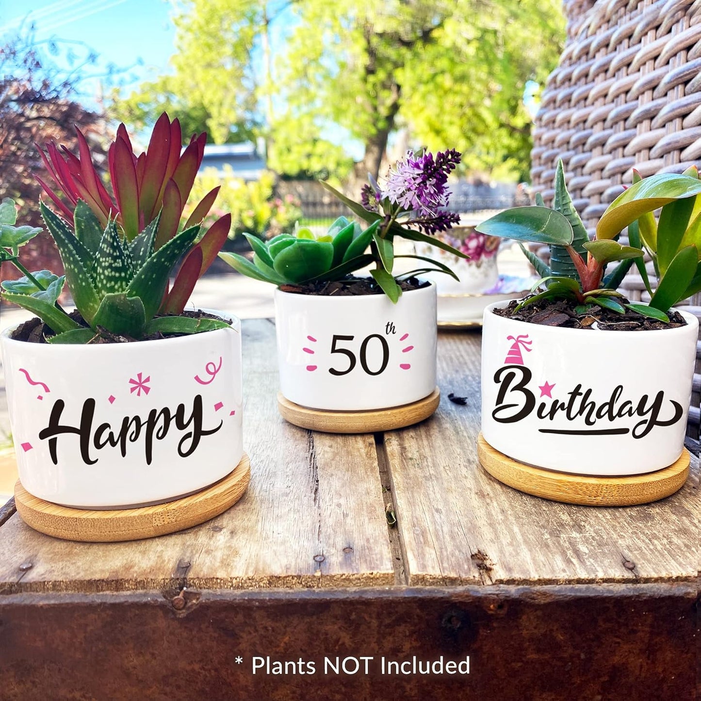 50Th Birthday Gifts for Women - Beautiful Keepsake 50Th Birthday Gift Ideas. Our Pretty Pots Are Perfect 50Th Birthday Decor or Gifts for Women Turning 50 and Arrive Beautifully Gift Boxed
