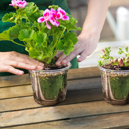 30-Pack Seedling Starter Pots with Humidity Domes for Seed Starting