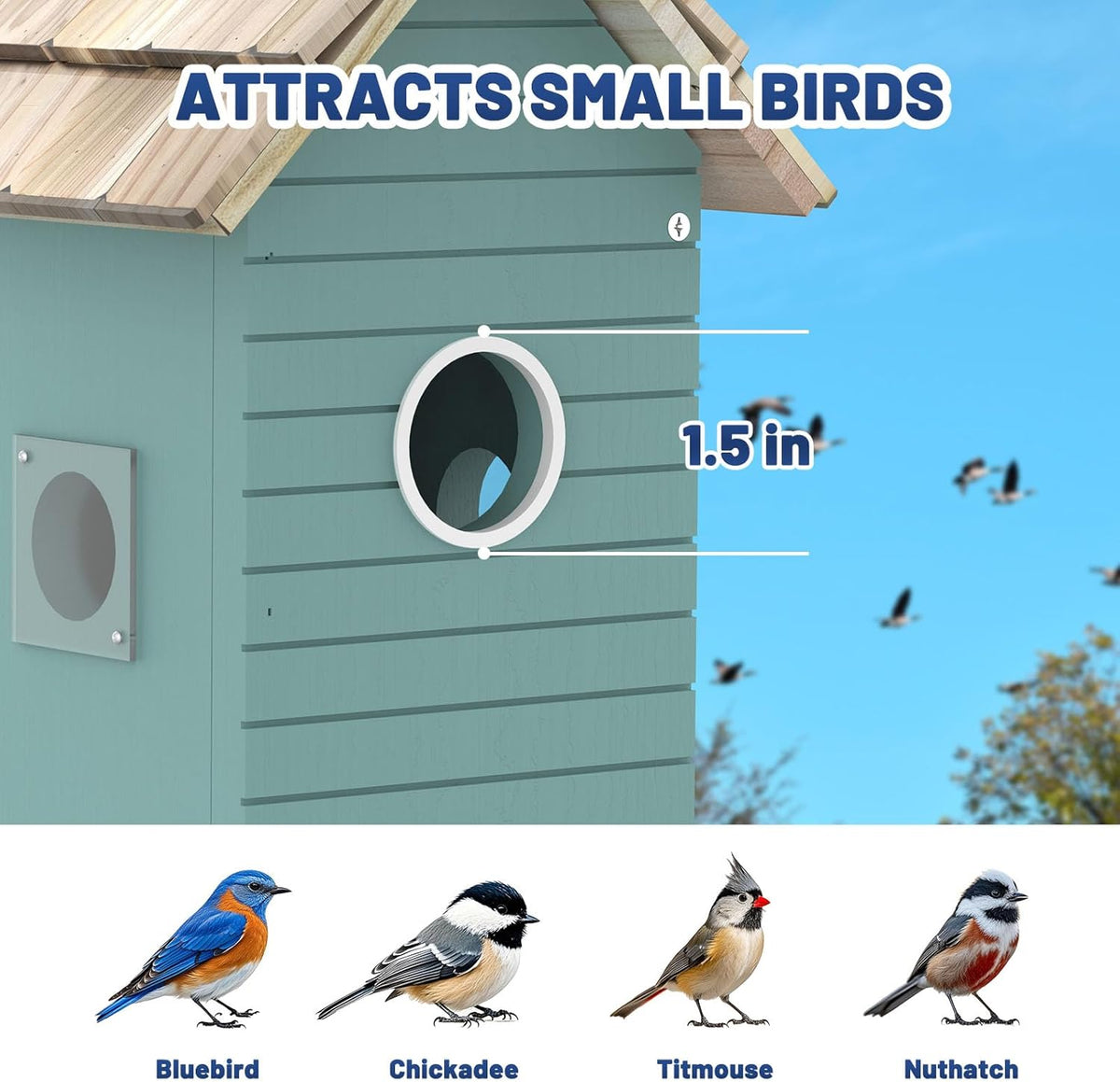 AI Smart Birdhouse Camera – 3MP HD Night Vision, Wi-Fi, 10,000+ Species ID