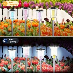 6-Pack Solar LED Pathway Lights – Rainbow Multicolor, Weatherproof
