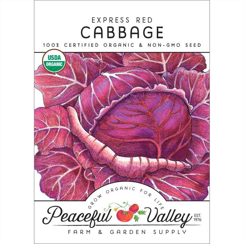 Organic Express Red Cabbage Seeds, Packet or 1/4 lb