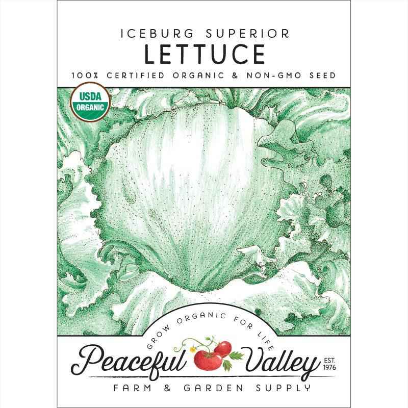 Organic Iceberg Superior Lettuce Seeds, Packet or 1 oz