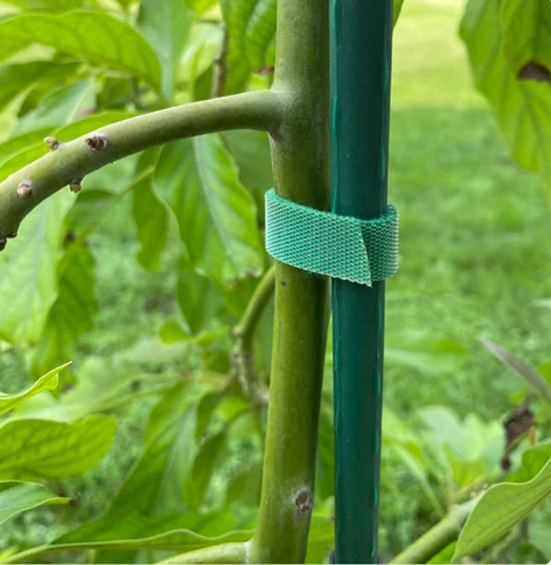 Plant Velcro Ties