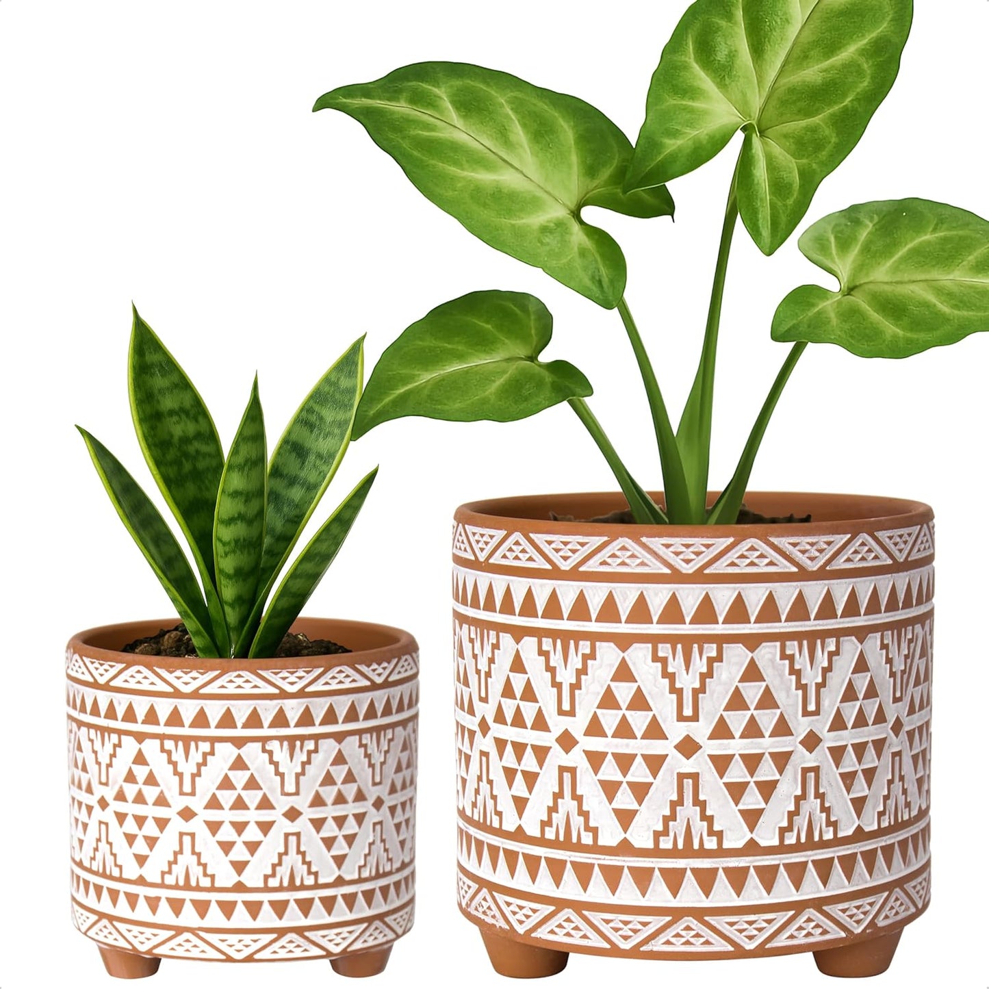 Set of 2 Terracotta Planter Pots, 4 Inch & 6 Inch, Design Plants Pot with Drainage Hole, Desert Mirage, Terracotta/White, 31-953-B-1