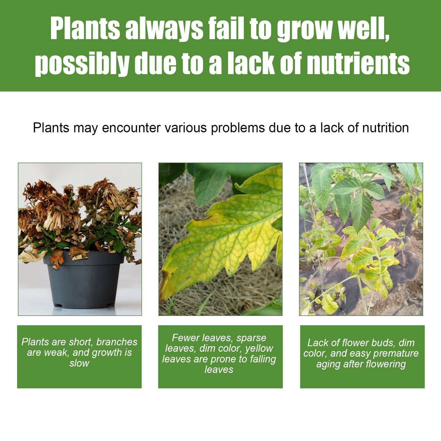 MoonSpry Plant Nutrient Liquid Spray - All-Purpose Indoor & Outdoor Fertilizer