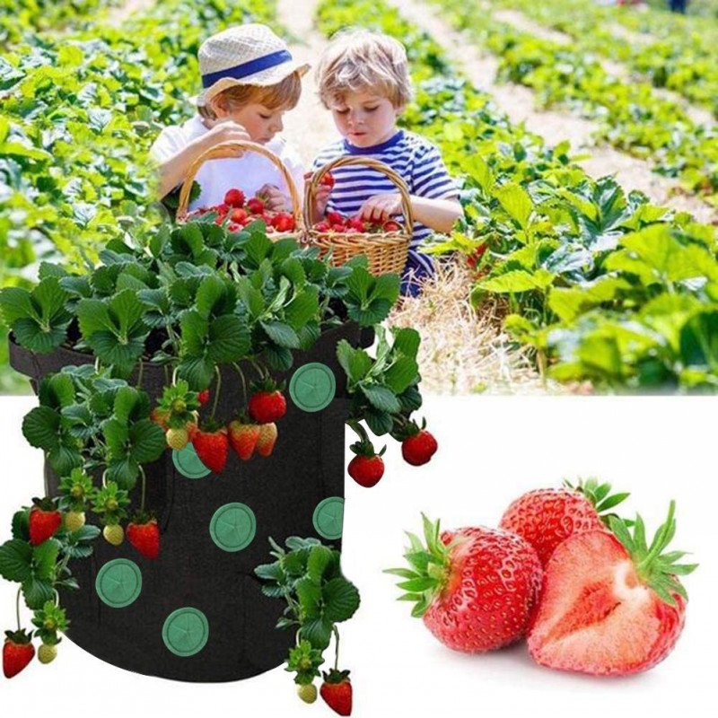 Hanging Strawberry Grow Bag with 13 Planting Pockets - Vertical Garden Planter