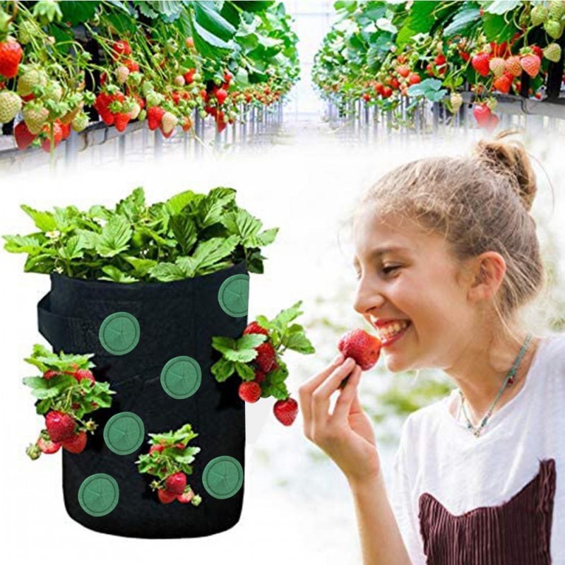 Hanging Strawberry Grow Bag with 13 Planting Pockets - Vertical Garden Planter