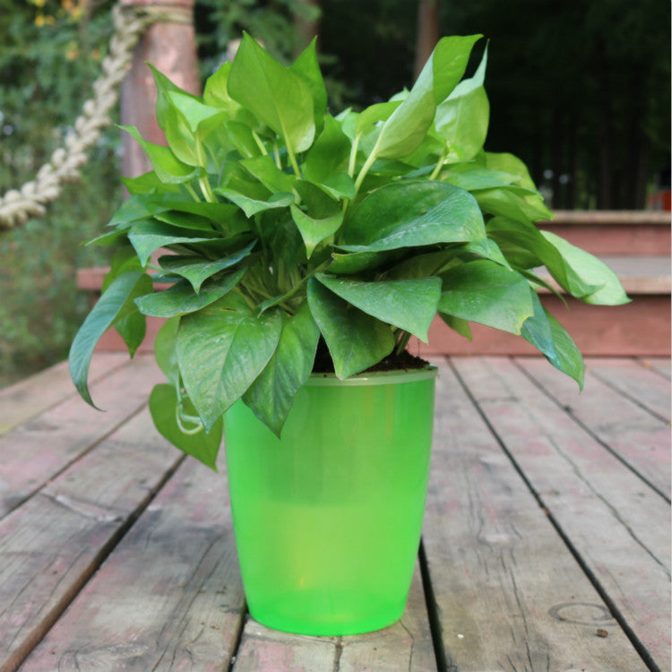 Self-Watering Planter Pot with Cotton Rope – Indoor Hydroponic System