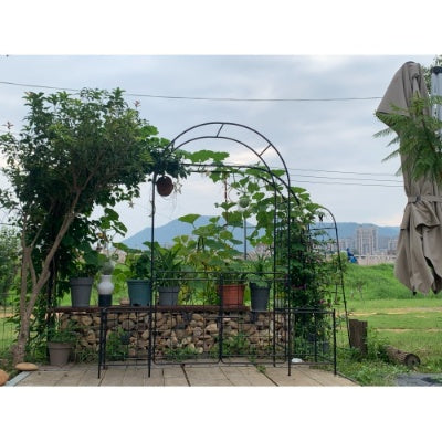 Iron Garden Arch Arbor with Gate & Lattice Panels – Easy Assembly, Climbing Plants