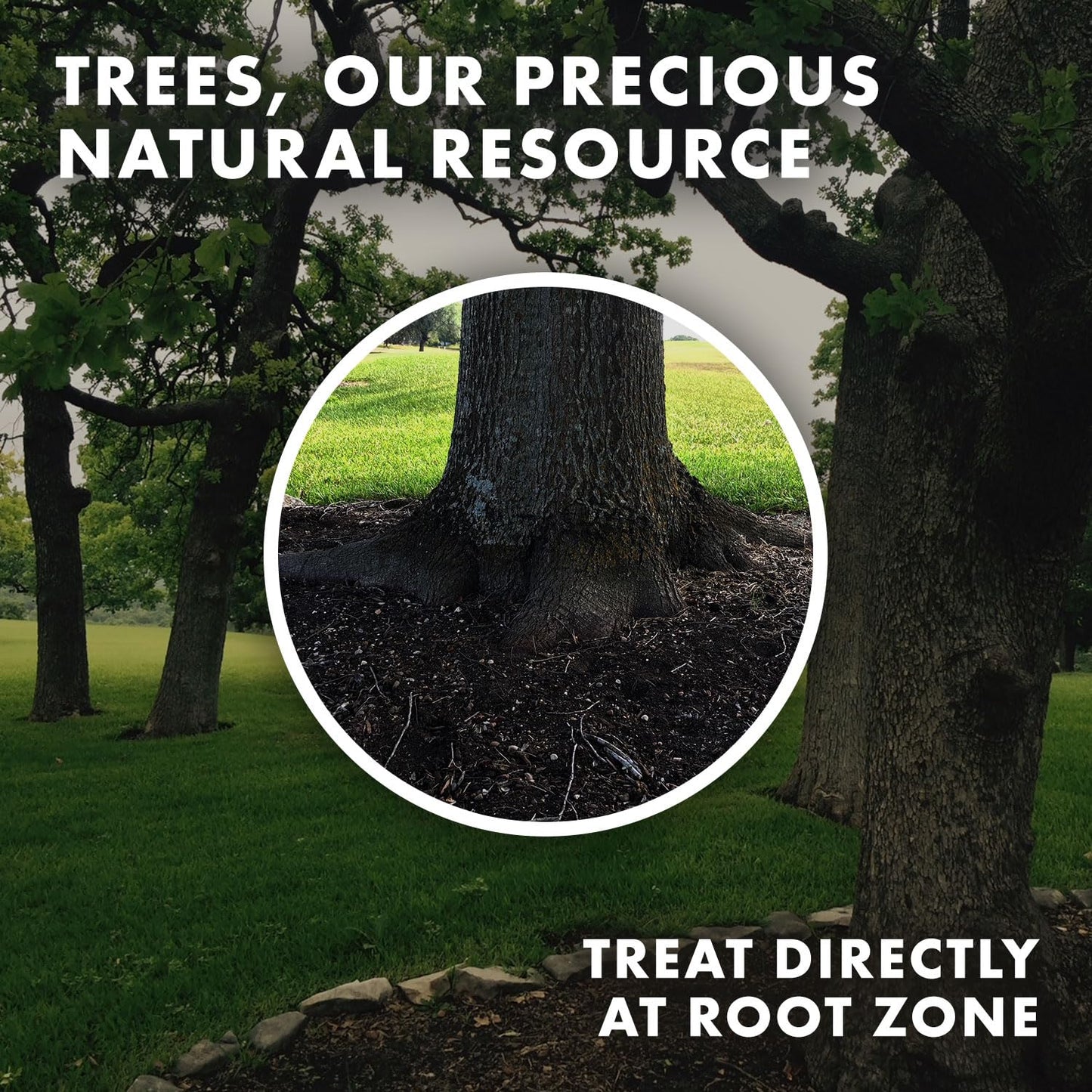Organic 5 Oz Mycorrhizae 16 Species Inoculant Treats 6,000 4-Inch Plants. Explodes Root Growth, Saves Water. Allow Your Plants, Garden and Trees to Thrive!