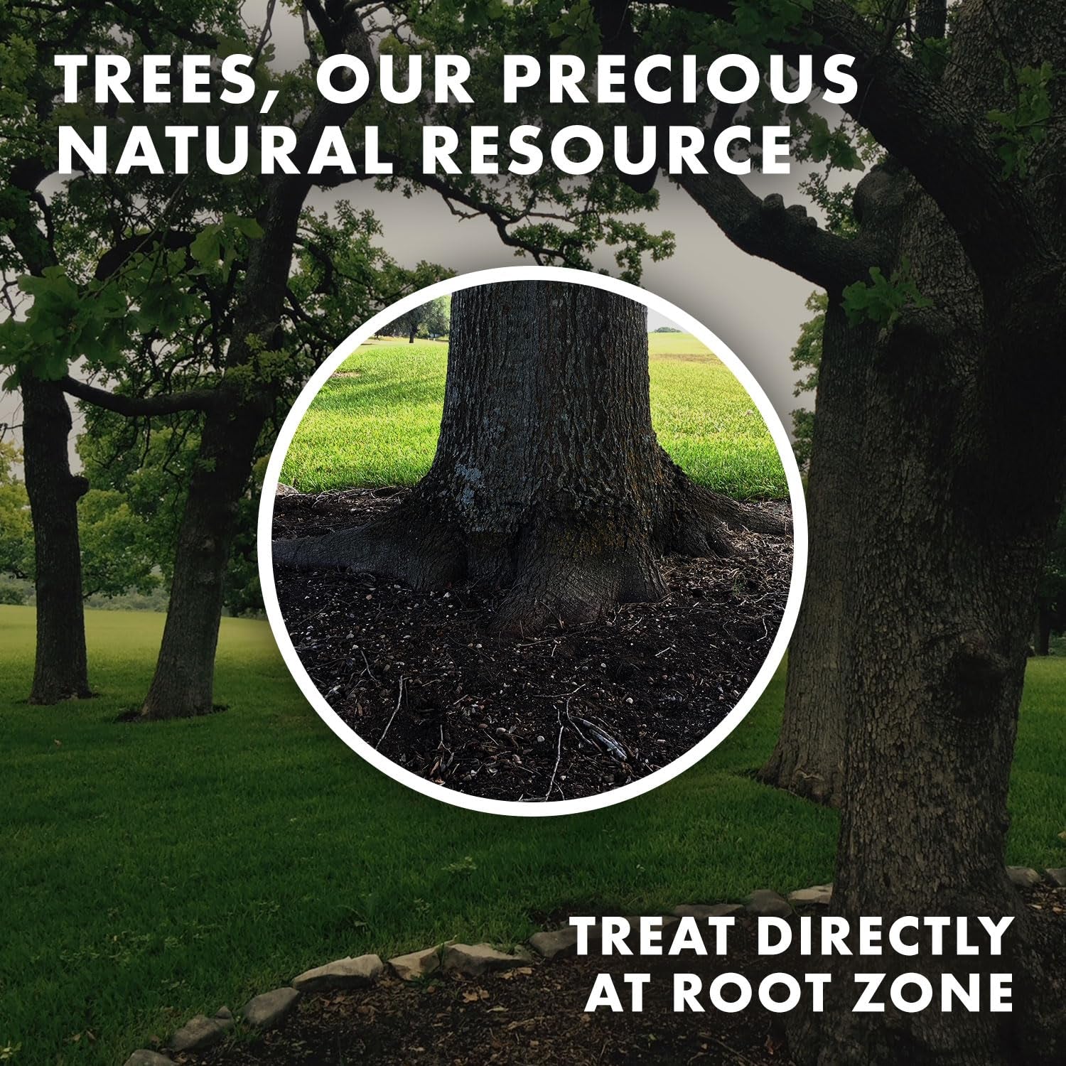 Organic 5 Oz Mycorrhizae 16 Species Inoculant Treats 6,000 4-Inch Plants. Explodes Root Growth, Saves Water. Allow Your Plants, Garden and Trees to Thrive!