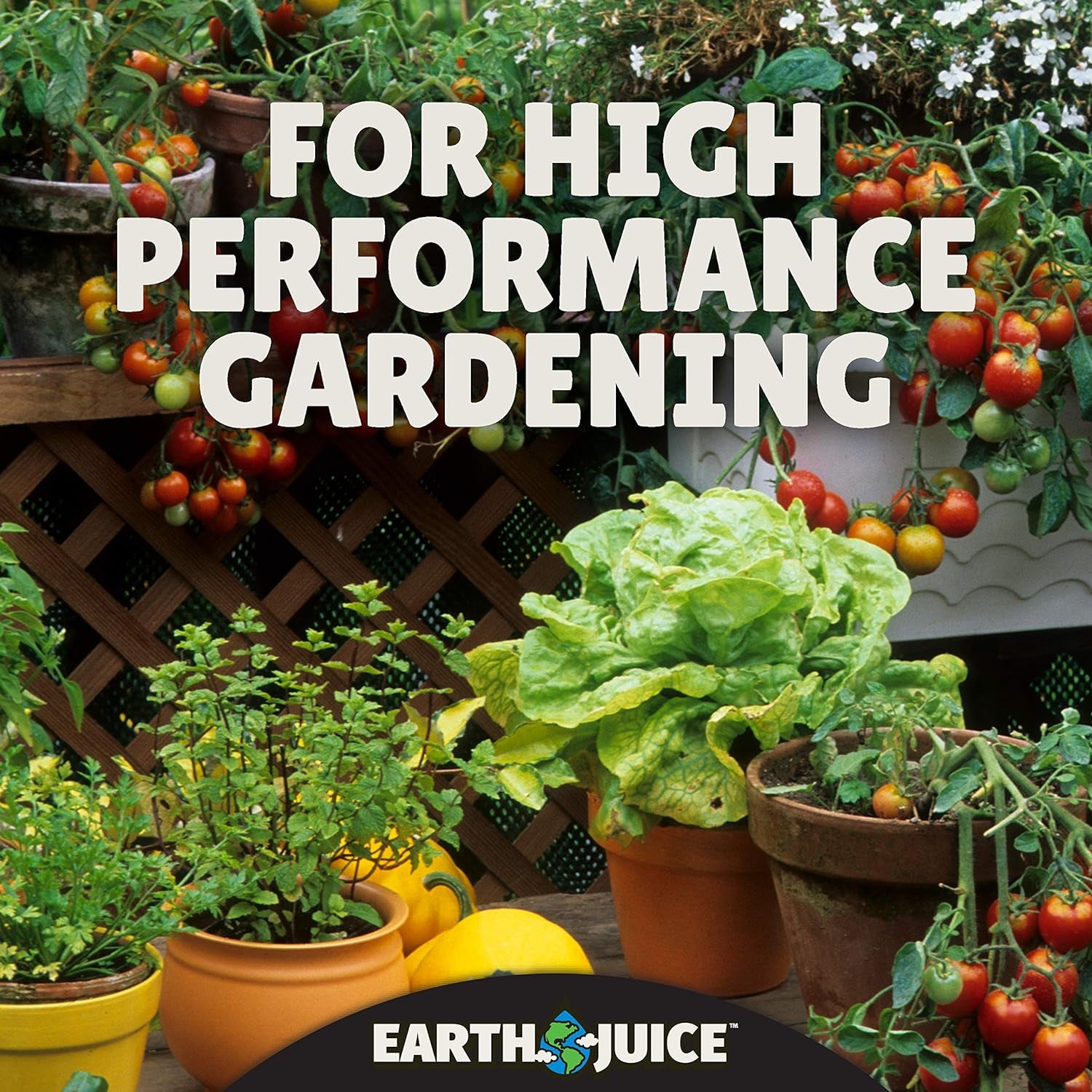 ARZER Hydroponic & Indoor Gardening Starter Kit Plant Fertilizer and Nutrients