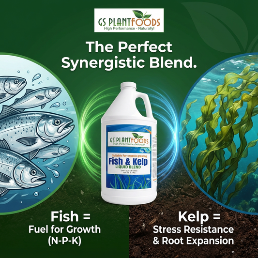 GS Plant Foods Fish and Kelp Liquid Organic Fertilizer, NPK 2-3-1