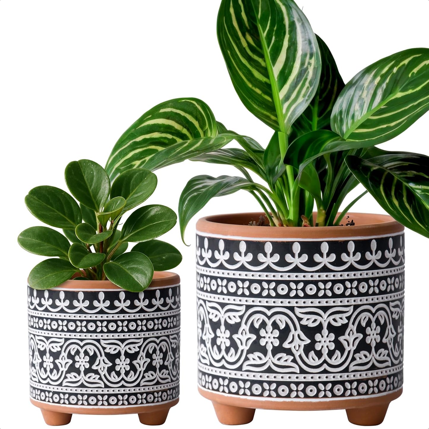 Set of 2 Terracotta Planter Pots, 4 Inch & 6 Inch, Design Plants Pot with Drainage Hole, Desert Mirage, Terracotta/White, 31-953-B-1