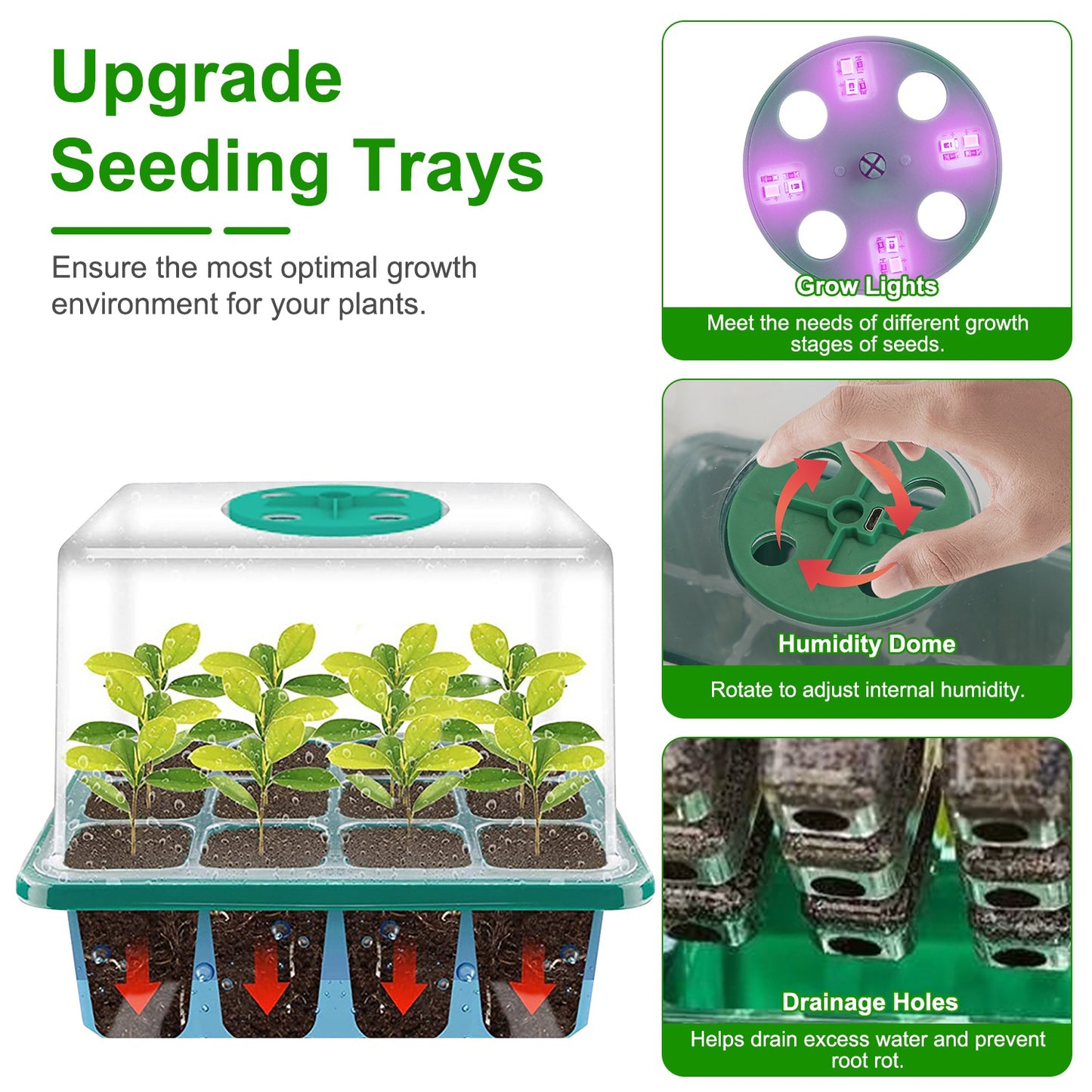 5-Pack Seed Starter Trays with Full-Spectrum LED Grow Lights and Timer