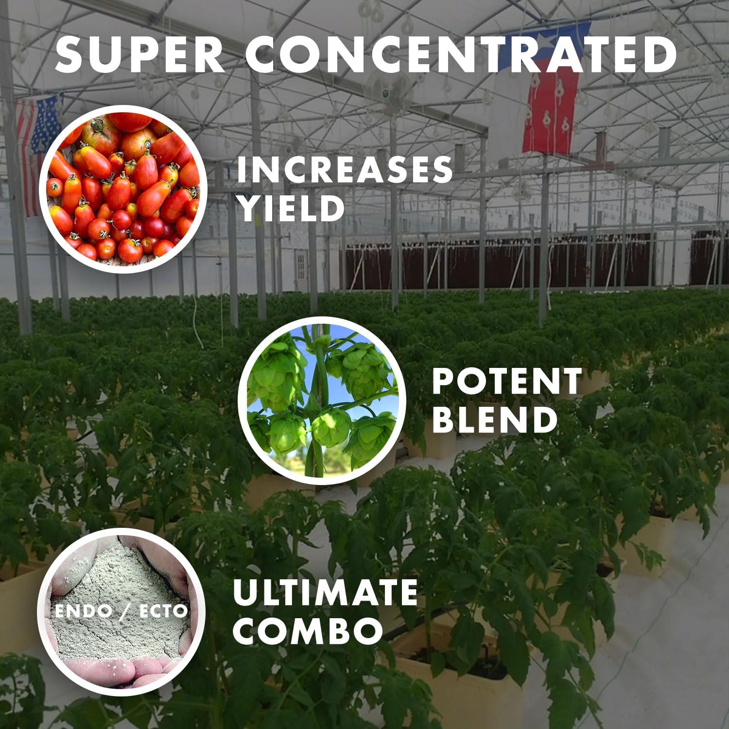 Organic 5 Oz Mycorrhizae 16 Species Inoculant Treats 6,000 4-Inch Plants. Explodes Root Growth, Saves Water. Allow Your Plants, Garden and Trees to Thrive!