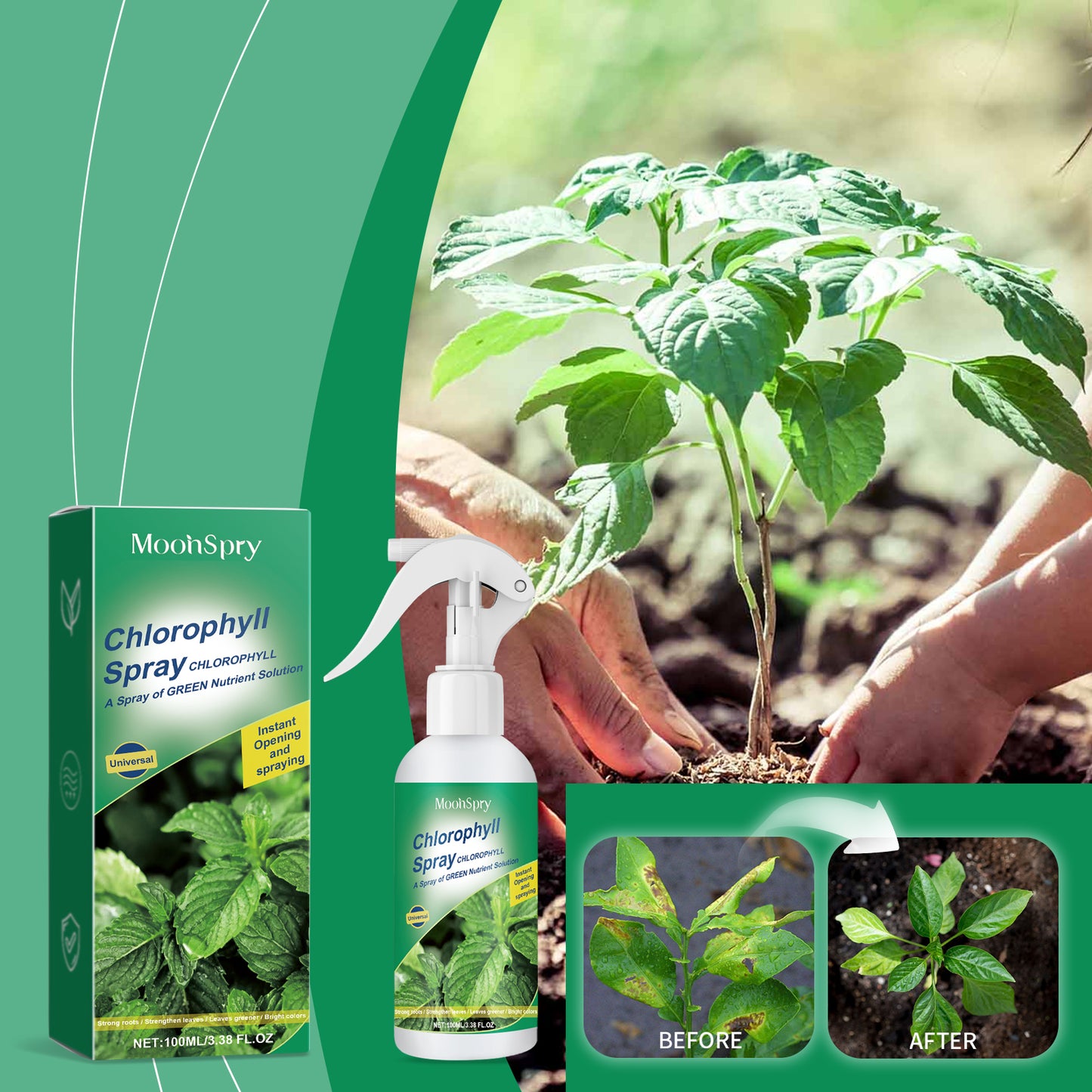 Chlorophyll Leaf Spray for Greener, Healthier Plants — 30-Day Formula