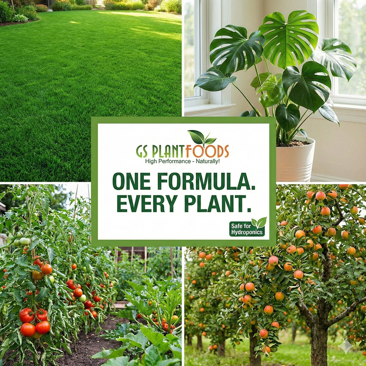 GS Plant Foods Liquid Humic Acid Soil Enhancer, Organic Concentrate