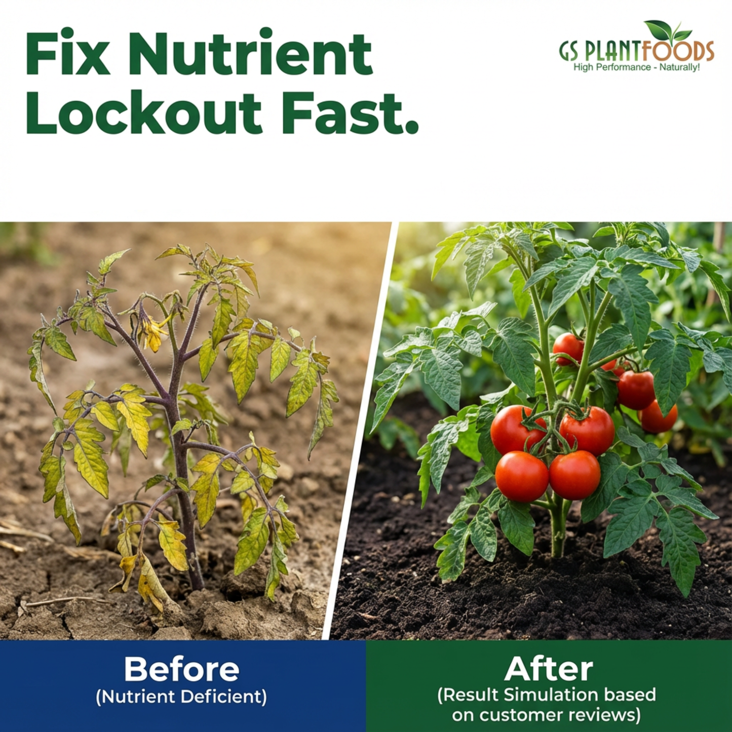 GS Plant Foods Fish and Kelp Liquid Organic Fertilizer, NPK 2-3-1