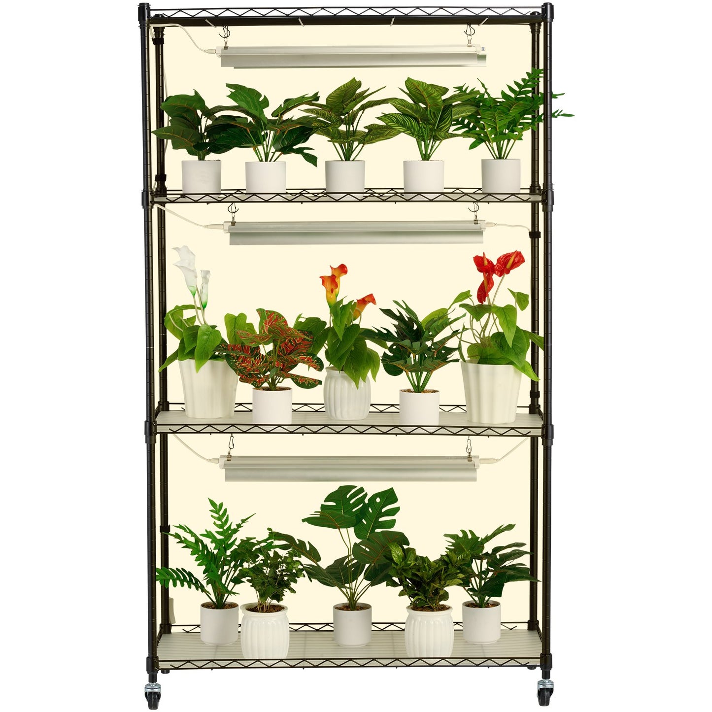Black metal shelving unit with plants on a white background