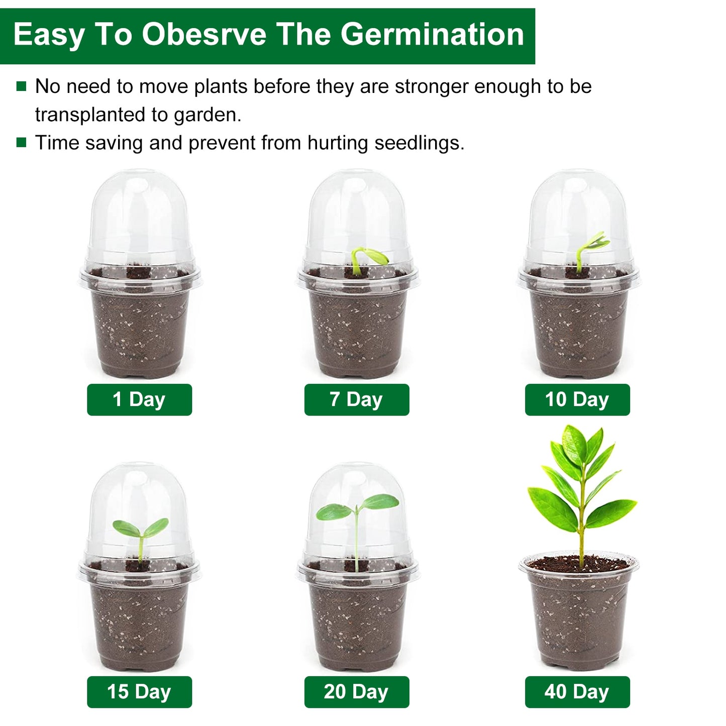 30-Pack Clear Nursery Starter Pots with Humidity Domes – 9-Hole Drainage, Reusable