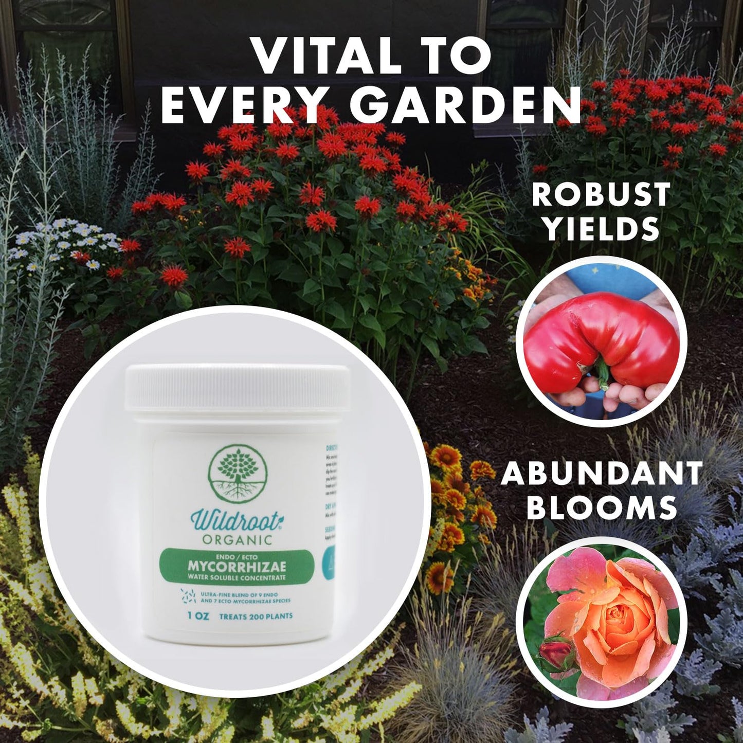 Organic 5 Oz Mycorrhizae 16 Species Inoculant Treats 6,000 4-Inch Plants. Explodes Root Growth, Saves Water. Allow Your Plants, Garden and Trees to Thrive!