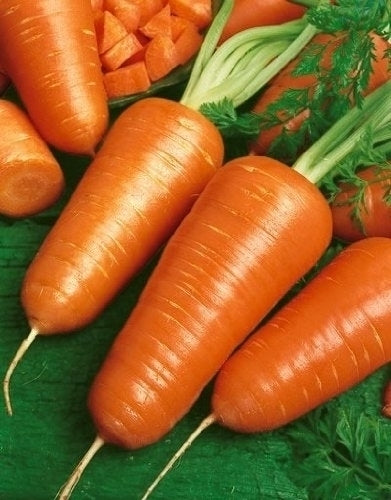 Chantenay Carrot Seeds – No-Peel Snacking Carrot for Gardens & Raised Beds
