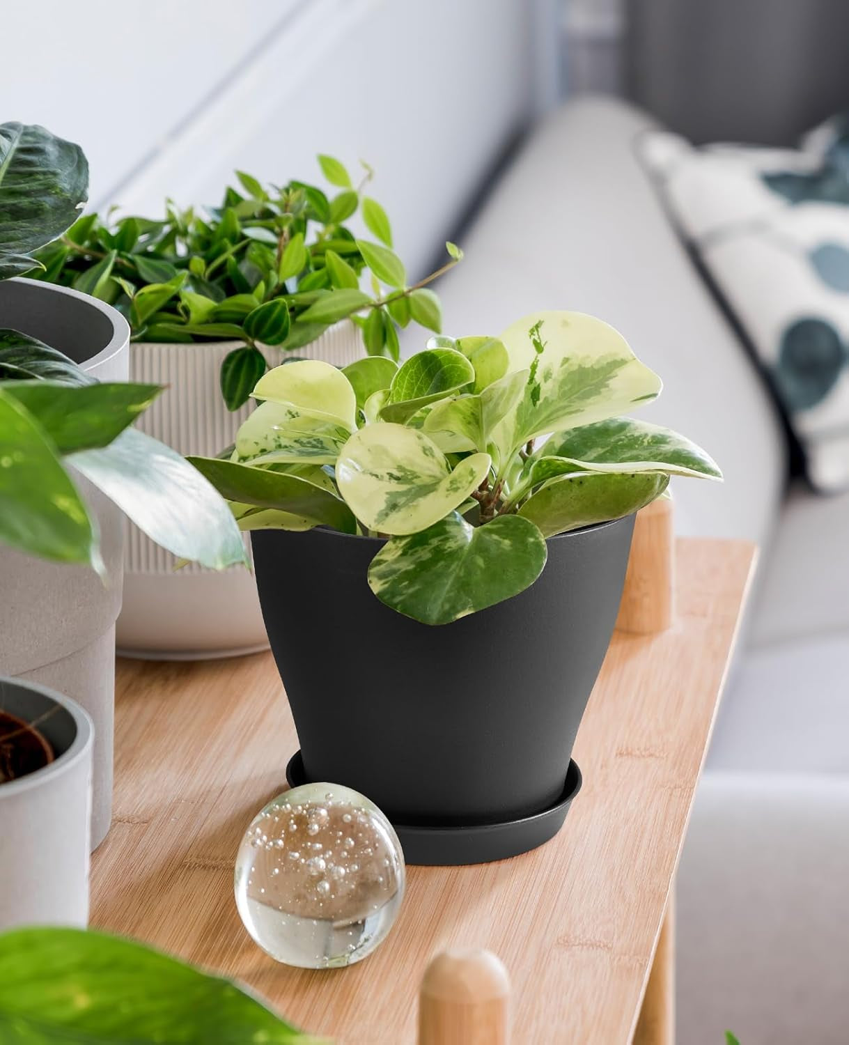 Plant Pots, Set of 15 Plastic Planters with Multiple Drainage Holes and Tray 6 Inch Indoor Plant Pot for All Home Garden Flowers Succulents (Black)