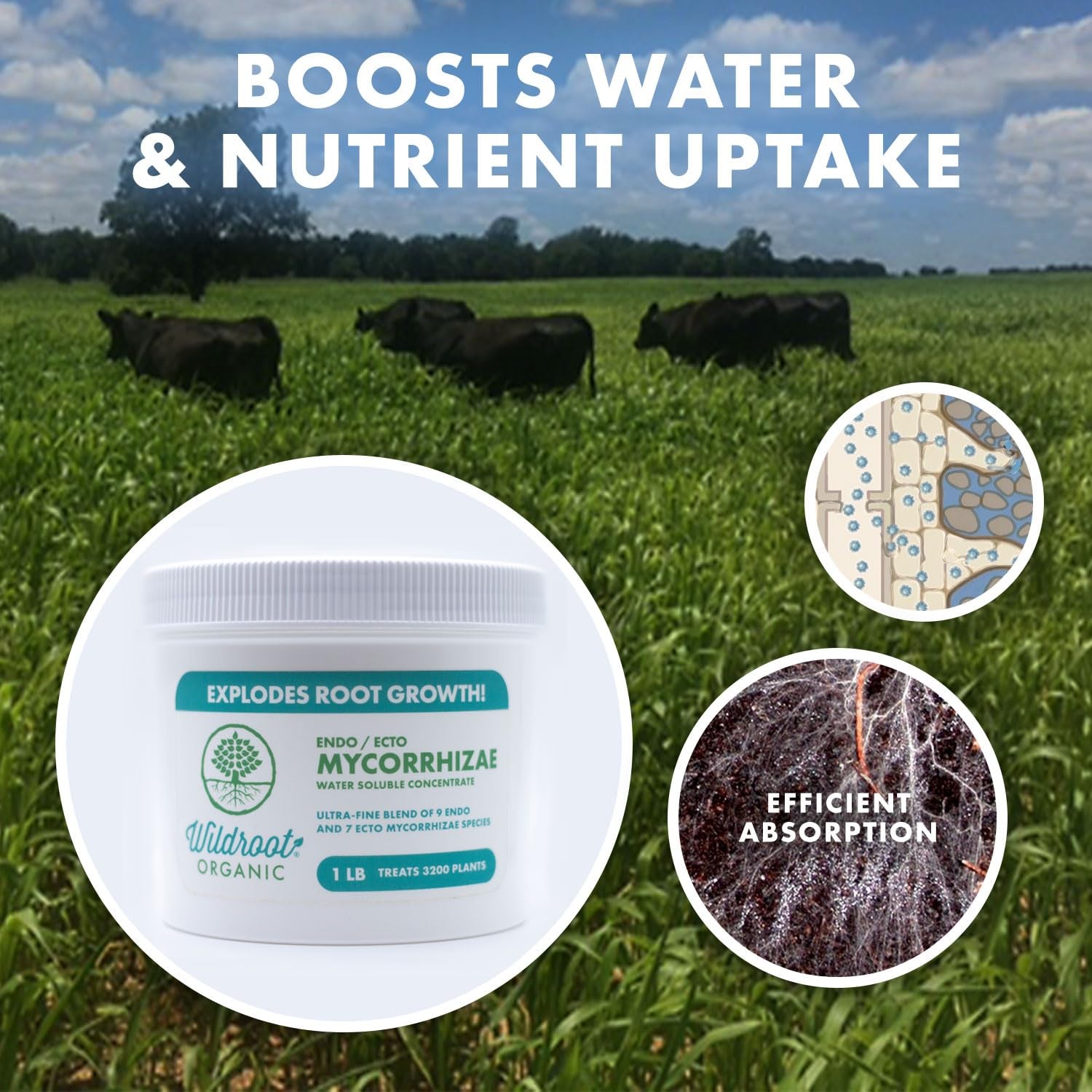 Organic 5 Oz Mycorrhizae 16 Species Inoculant Treats 6,000 4-Inch Plants. Explodes Root Growth, Saves Water. Allow Your Plants, Garden and Trees to Thrive!