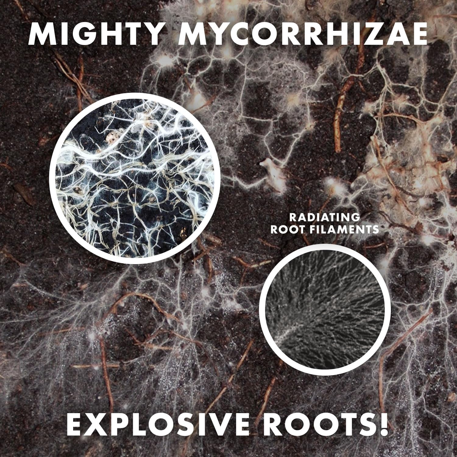 Organic 5 Oz Mycorrhizae 16 Species Inoculant Treats 6,000 4-Inch Plants. Explodes Root Growth, Saves Water. Allow Your Plants, Garden and Trees to Thrive!