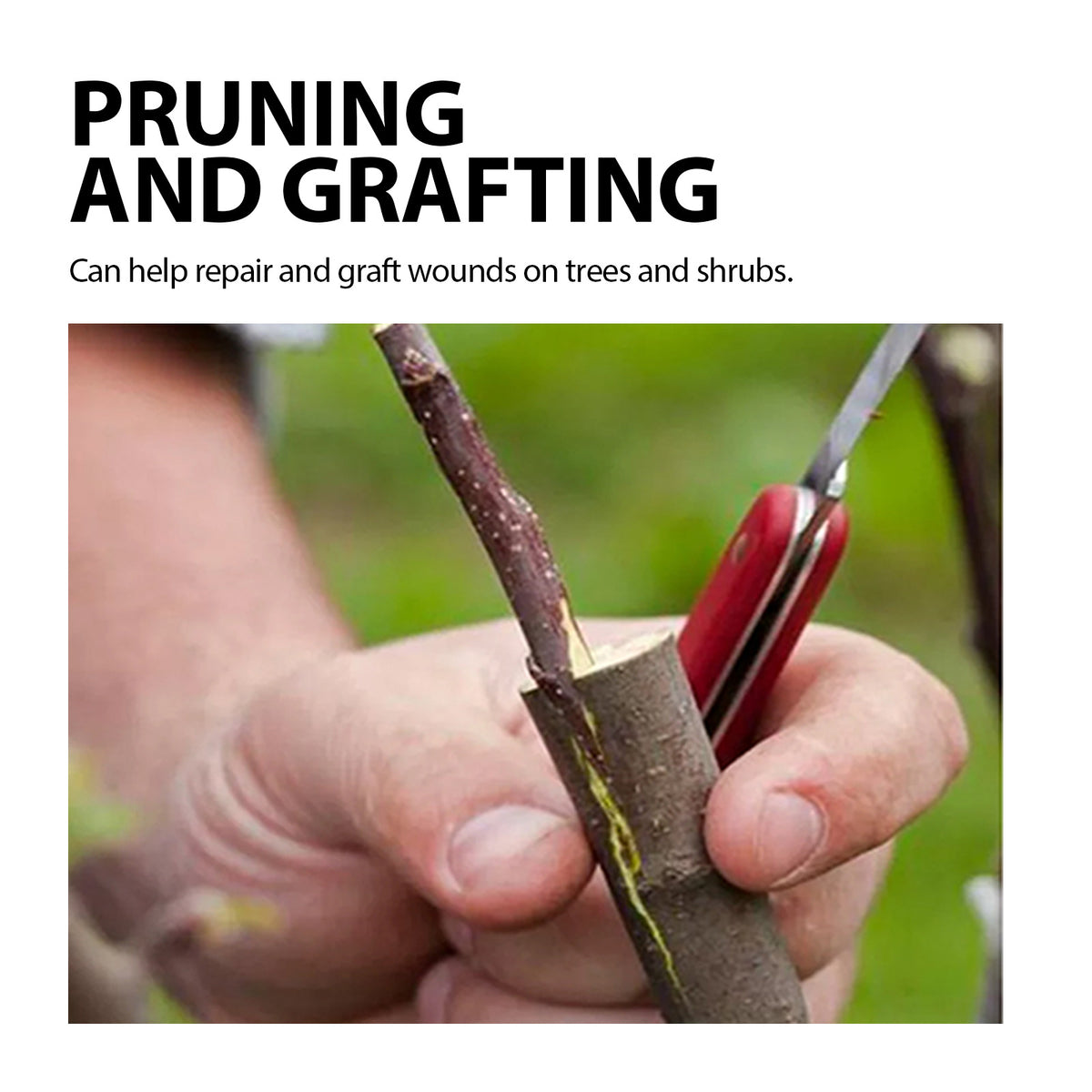 Tree Wound Healing Paste – Pruning Sealant for Trees & Shrubs