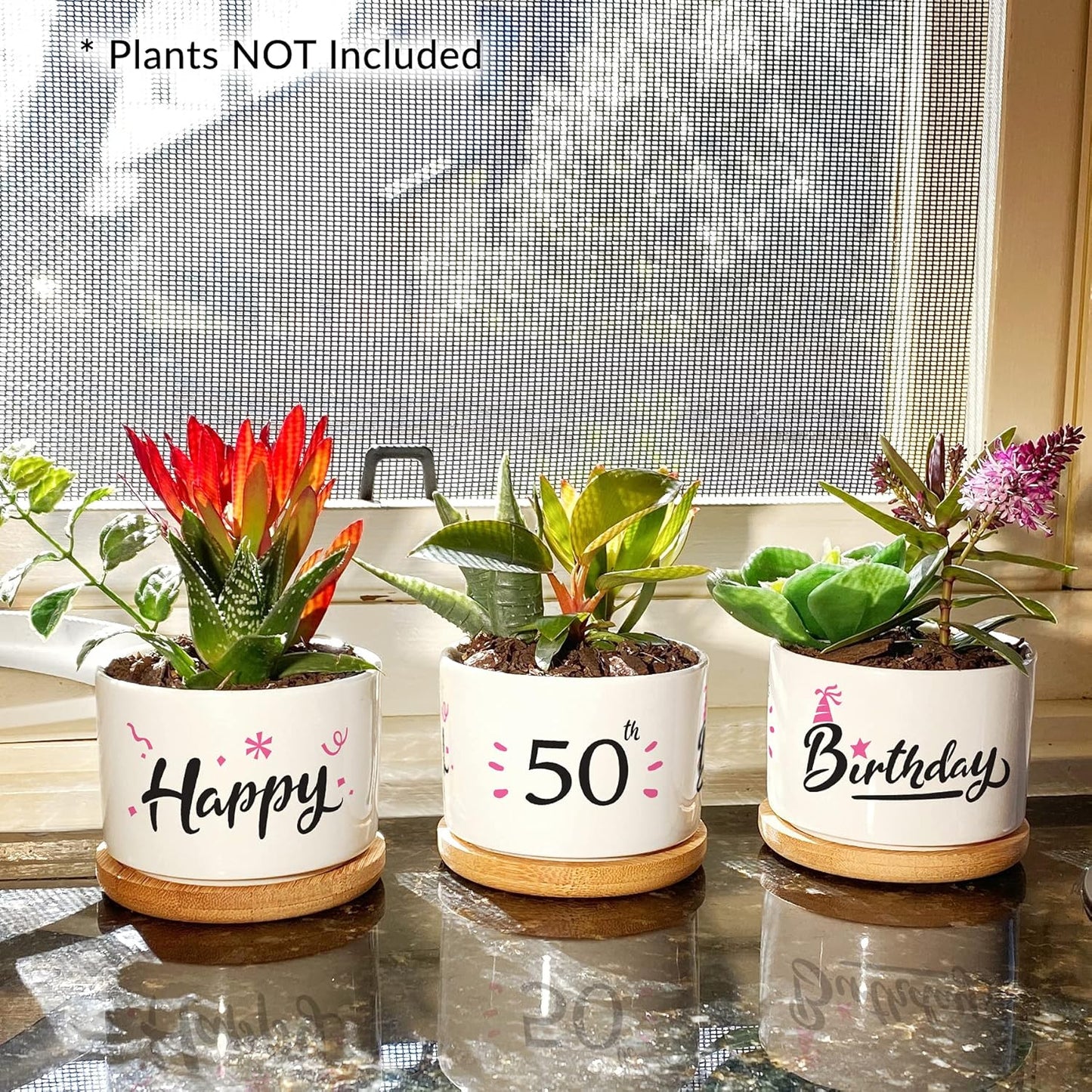 50Th Birthday Gifts for Women - Beautiful Keepsake 50Th Birthday Gift Ideas. Our Pretty Pots Are Perfect 50Th Birthday Decor or Gifts for Women Turning 50 and Arrive Beautifully Gift Boxed
